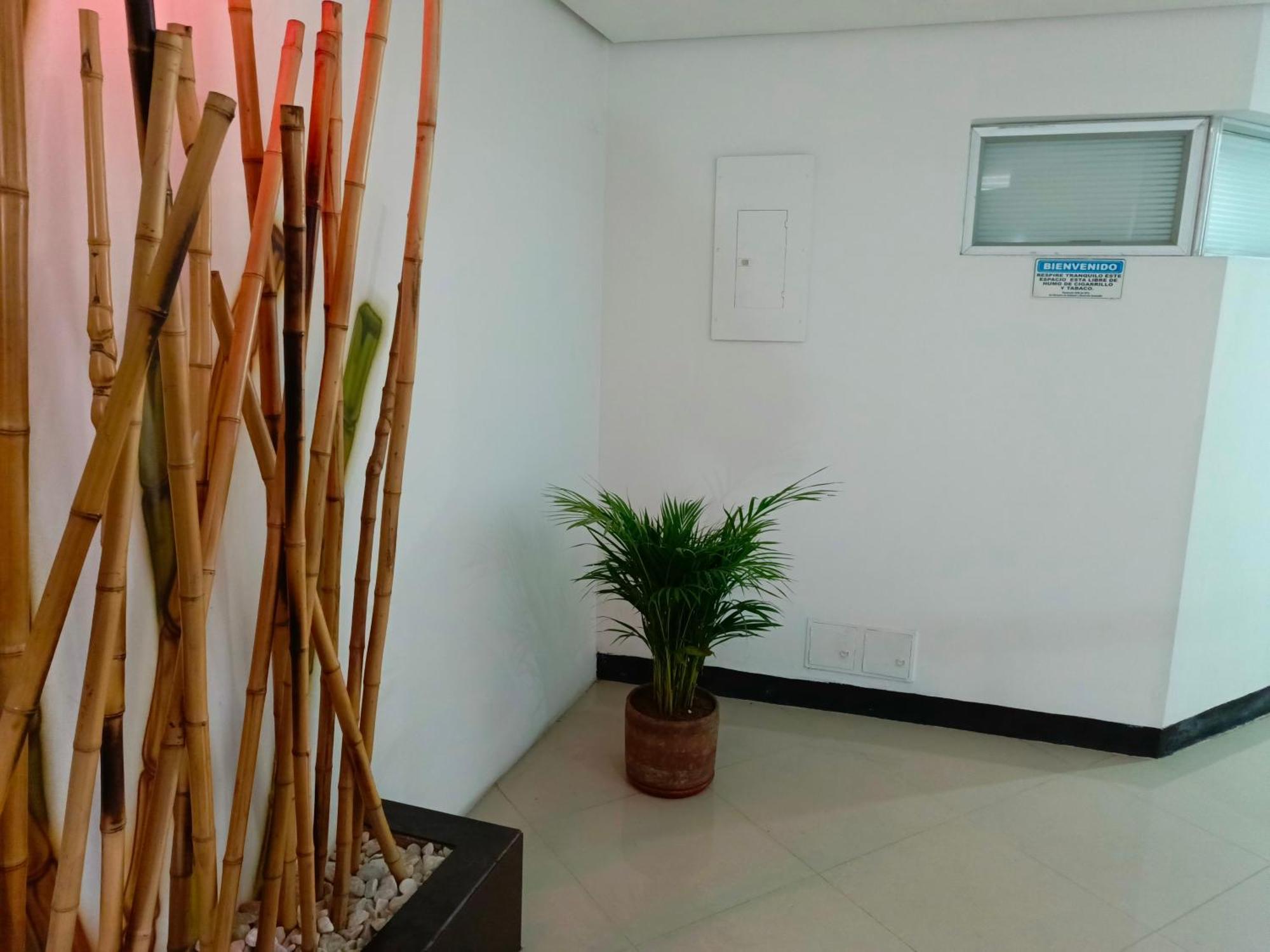 Hotel Spa Laureles Medellín Eksteriør billede